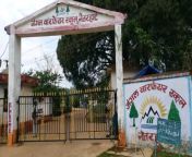 netarhat jharkhand jungle warfare school premises planted more than two thousand pear plants 1688914264.jpg from स्कूल में गर्म जंगल पर पिकनिक
