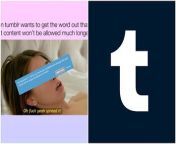 tumblrs porn ban is the middle of the end of the 2 9239 1543937132 2 big.jpg from xxx fuck ban