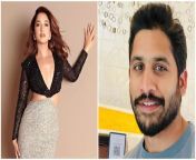 tamannaah bhatia highlights south indian superstars naga and ram charans respectful treatment of co actresses.jpg from www xxx hindi pl