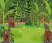 orangutans cartoon character forest scene 1308 105148.jpg from cartoon nangi video in jungle