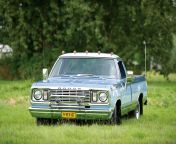 dodge d series 1977 images 1.jpg from adventure se