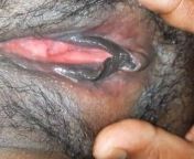 hifixxx fun husband licking wife pussy 3 mp4.jpg from বাসর রাতে চোদাচুদির ছবি kaif xxx video hindiangladeshi doctor chaitali sexw bangla choti বড় লোকেà