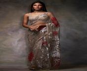 segc082160 1 jpgimpolicydetailimageprod from nude in sari