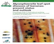 leaf spot diseases of bananas cbs.jpg from aa 90la 9 yers xxx bf