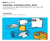 pdflib tutorial 802.jpg from nisi java xx