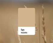 tan color.jpg from tan