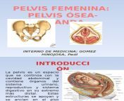 1588995638v1 from disección perineal femenina