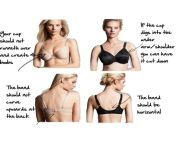 x.jpg from how to fit a bra 124 measuring bra size 124 mrbra com lingerie guide