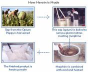 image showing the stages of processing poppies into heroin.jpg from acid heroine