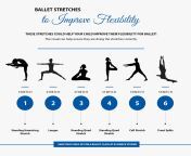 ballet stretches to improve flexibility 5ffdd53d38859.jpg from ballet stretching and flexibility