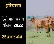 हरियाणा देसी गाय सहाय योजना 2022.jpg from विभिन्न देसी जोड़ों दिखा स्तन तथा म
