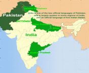 region where urdu is spoken.jpg from seyx urduâ€ â€ indan dise