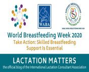 lactation matters title current5.png from 2020 new breastfeeding tutorials