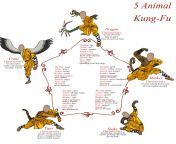 5 animal styles kung fu.jpg from kung fu technic