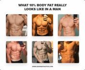 body fat man 10.png from fat body