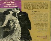 newsletter038.jpg from main with second sham sex