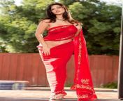 8189361303 20b3bd5eb6 b.jpg from sunny leone in red sar