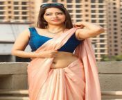 shreyanshi saree navel puddan 2 actress 45.jpg from tamil actress barish saree nude