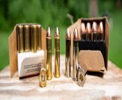 45 long colt vs 44 magnum ammo side by side.jpg from 45 44
