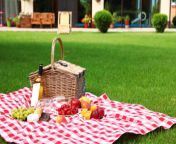 entertaining outdoors with a garden picnic 850x567.jpg from picnic garden mms