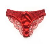 red lace panties front in sheer lace french cut style.jpg from in undies