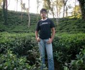 tea garden.jpg from sylhet sax