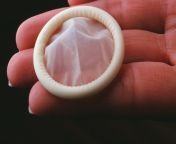 98131 120226 condom hmed2 10a.jpg from college condom use