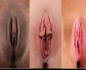 preview mp4.jpg from different types of pussy