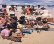 sri lankan tamil speaking population after reaching indian shores waiting to be rehabilitated jpgs1024x1024wgik20cj6riobiq2geexvzp9dcs7s6rbgfdb7x073p2zw 32ci from lankan tamil wife bathing and fuckeding 2 video