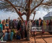 doolow somalia displaced somalis gather near an aid distribution center at the kahary idp jpgs612x612wgik20cdsfv6rey kkckc3wf0ndhgy9mxpsoxhx c42gp4vw0q from 162 somali