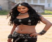1420735448 indian actress sana khan navel show hot photo gallery pics pictures.jpg from bollywood top10 navels