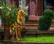 wat lok moli adalah kuil buddha yang merupakan objek wisata utama adalah seni thailand kuno jpgs170667aw0k20c ed93vpacbqu51ph6rltimkhnuupqgpzczwd2 0flmc from kuil moli