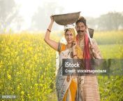 rural couple with iron pan and hoe in agricultural field jpgs170667awisk20cokynpjak2krtvhpny3t8zpdczhdttkyha54pion93bi from marathi local village saree pg sexi india