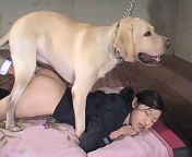 10070.jpg from japanese public dogsex