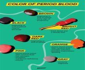 decoding your period blood what does it mean1296x2238 infographic 751x1296.jpg from in menses time blood come pussy blood bleeding pussy videos bleeding monthly video