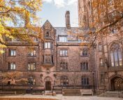 yale university gettyimages 499811968.jpg from collgu