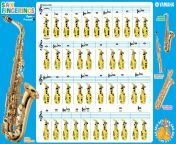 387poster doigts saxophone.jpg from 12 samall sax video oril se
