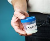 artificial insemination collection of semen by man at hospital.jpg from sperm hospita