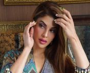 last week jacqueline fernandez was grilled for more than 8 hours.jpg from jacqueline farnandis xxxgoogle xxx tam