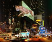 3d display tiger.jpg from ooh made it to the top models of may 2021 come and see why mp4