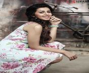 tamil actress nikki galrani hot photoshoot stills 2a1a810.jpg from tamil actress nikki galrani bathroom videomali sex suma