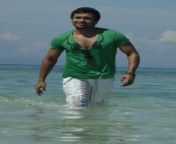 ezham arivu suriya movie photos 411.jpg from actor surya bulge pic