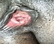 preview mp4.jpg from tamil aunty close up pussy gum