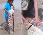 anand mahindra shared desi jugaad of fishing by kid video will teach you life lessons 90589723 jpgimgsize31360width380height285resizemode75 from देसी बच्चा मजा