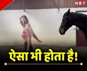 horse video 101630600 jpgimgsize27674width1200height900resizemode75 from घोडे लडकी कि सेक्सी विडीयो adult hindi horror sexy