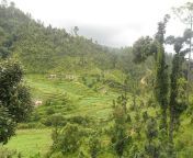 dadeldhura nepal panoramio.jpg from nepal dadeldhura vlese aunti jungal sexn village jija sali sex videosladesh hot aunty cxx 3gp