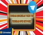 telegram luncurkan token ton telegram open network untuk investor ritel 696x392.jpg from 马来西亚登嘉楼约炮【telegram：kc2435】 dwbv