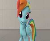 sfm rainbow dash posing and smiling by gameking122 d7l4zkg.png from mlp rainbow dash funny sfm