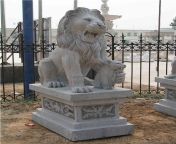 marble guardian lion guard statue animal sculpture p681937 4b.jpg from marble guard xxxny leone lei