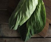 cabbage leaves 1296x728 header.jpg from cabbage family expression milk